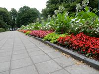 Blumenanlage in einem der Parks 2