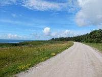 unser Schotterweg entlang der Westküste von Saaremaa