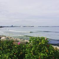 Tallinn (Pirita Terviserada)