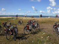Radtour auf der Insel Saaremaa
