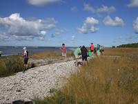 Reisegäste auf der Insel Saaremaa
