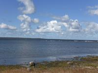 Blick von der Insel Saaremaa