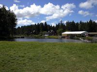 Auf der Insel Saaremaa