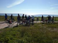 Radtour auf der Insel Saaremaa