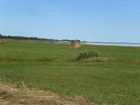 Blick auf der Insel Saaremaa