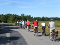 Radtour auf der Insel Saaremaa