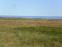 Blick auf der Insel Saaremaa - Estland