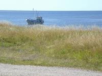 Blick auf der Insel Saaremaa - Estland