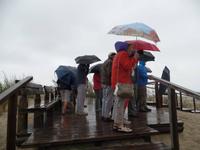 auf der Kurischen Nehrung