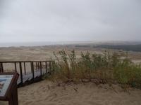 auf der Kurischen Nehrung