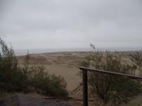 auf der Kurischen Nehrung