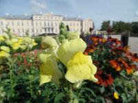 Schlosspark von Schloss Rundale