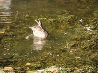 Schlosspark von Schloss Rundale