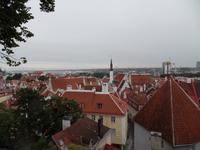 Altstadt von Tallinn