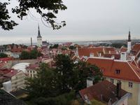 Altstadt von Tallinn