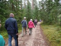 im Laheema Nationalpark