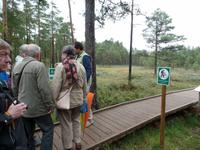 im Laheema Nationalpark