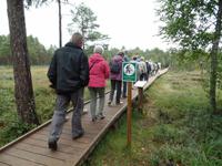 im Laheema Nationalpark