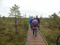 im Laheema Nationalpark