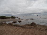 an der Ostseeküste bei Altja