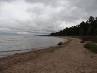 an der Ostseeküste bei Altja