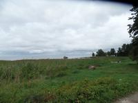 an der Ostseeküste bei Altja