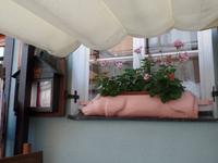 Schwein gehabt in Tallinn