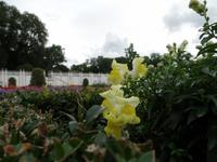 Schloss Kadriorg in Tallinn