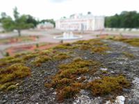Schloss Kadriorg in Tallinn