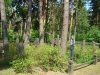 Nidden: Friedhof