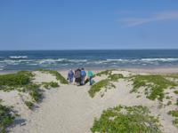 Baltikum, Litauen, Kurische Nehrung