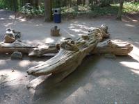 Baltikum, Litauen, Kurische Nehrung, Hexenberg