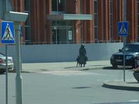 Baltikum, Litauen, Kleipeda