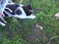 Baltikum, Lettland, Zipare Bauernhof