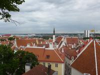 Baltikum, Estland, Tallinn