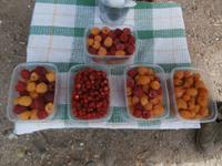 Trakai Früchte der Jahreszeit