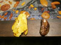 Kurische Nehrung-Nida Bernsteinmuseum