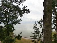 Kurische Nehrung-Nida