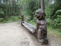 Kurische Nehrung-Jouodkrante Hexenberg