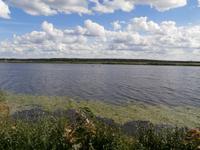 Fahrt an die Ostsee nach Jurmala