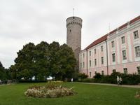 Tallinn-Turm Langer Hermann