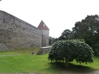 Tallinn Stadtmauer mit Turm