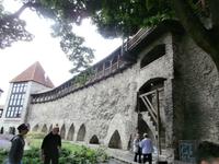 Tallinn-der Garten des dänischen Königs