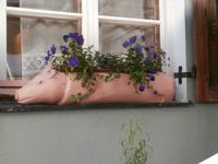 Tallinn Abendessen im 