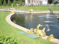 Peterhof: Park