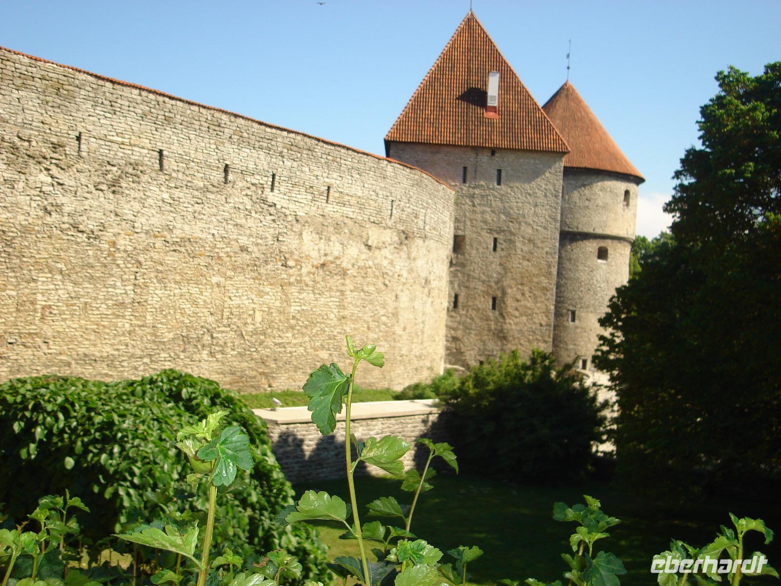 Tallinn: Stadtmauer mit Kiek in de Kök