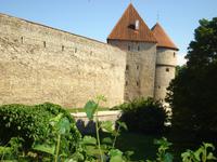 Tallinn: Stadtmauer mit Kiek in de Kök