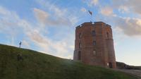 Gediminas Turm in Vilnius