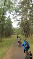 Auf dem Radweg über die Kurische Nehrung