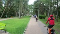 Auf dem Radweg durch Palanga